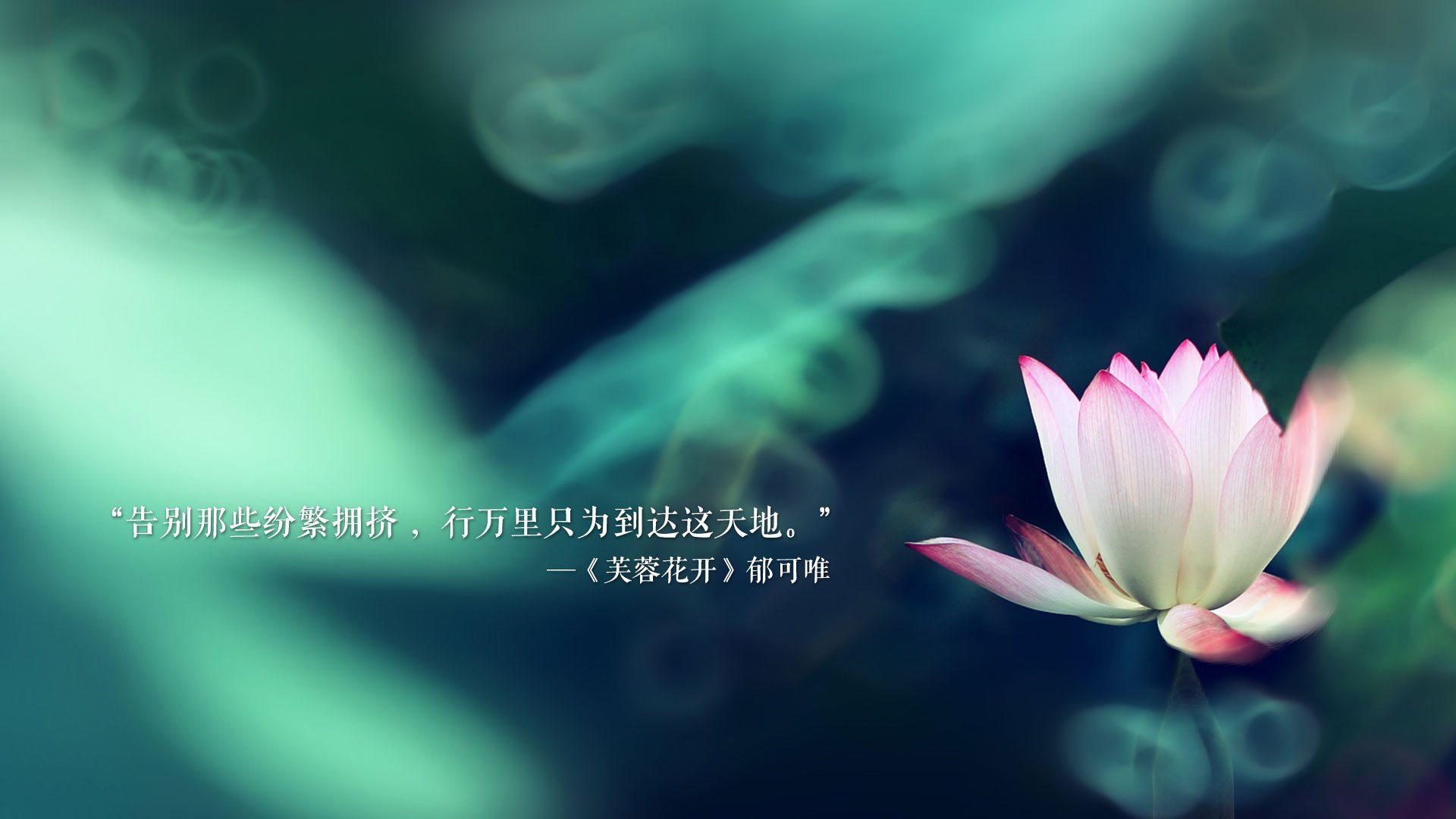 孔德全程高能输出,尤文正面击溃拜仁—欧冠巅峰之战的战术与激情