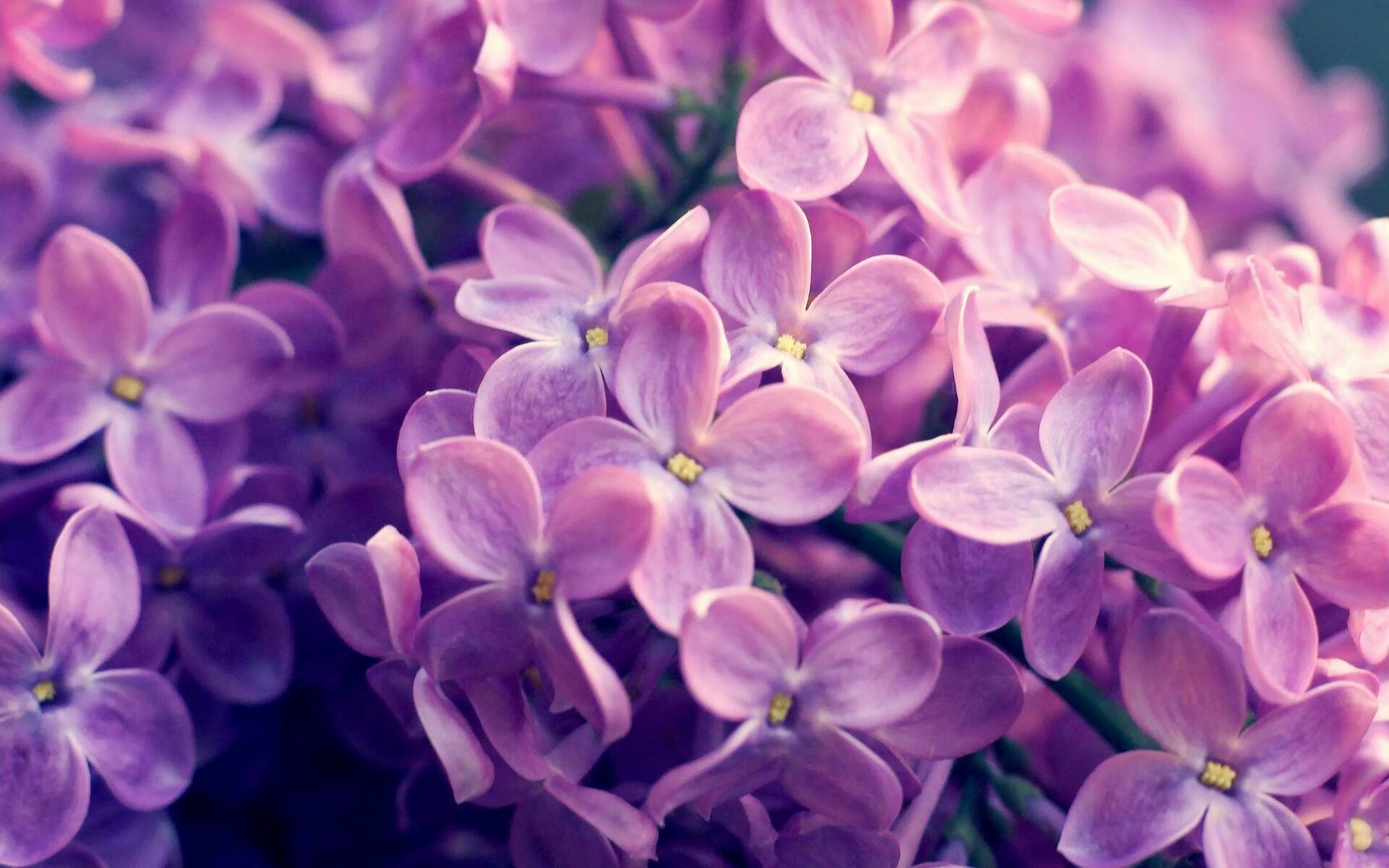 欧冠淘汰赛焦点战，摩纳哥决胜局绝杀，利物浦欧冠梦碎