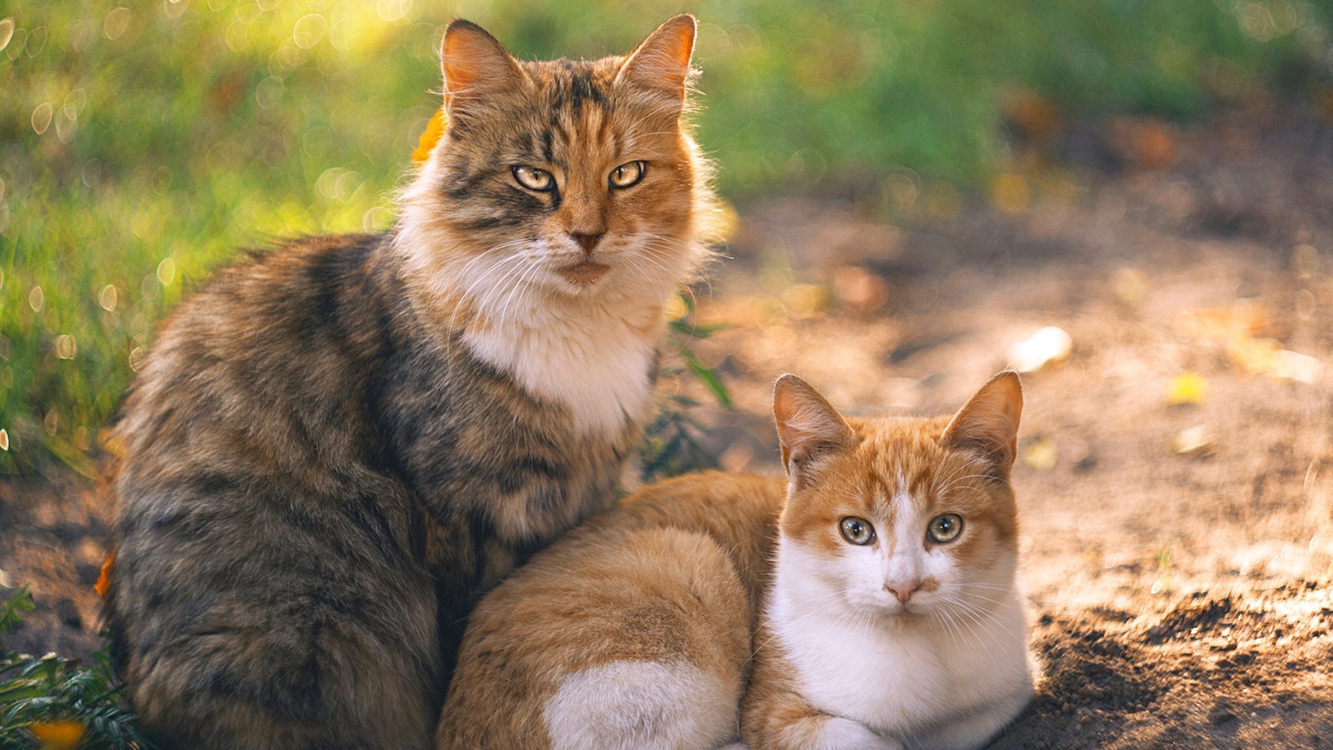 阿圭罗的救赎之夜，比利亚雷亚尔力克新西兰