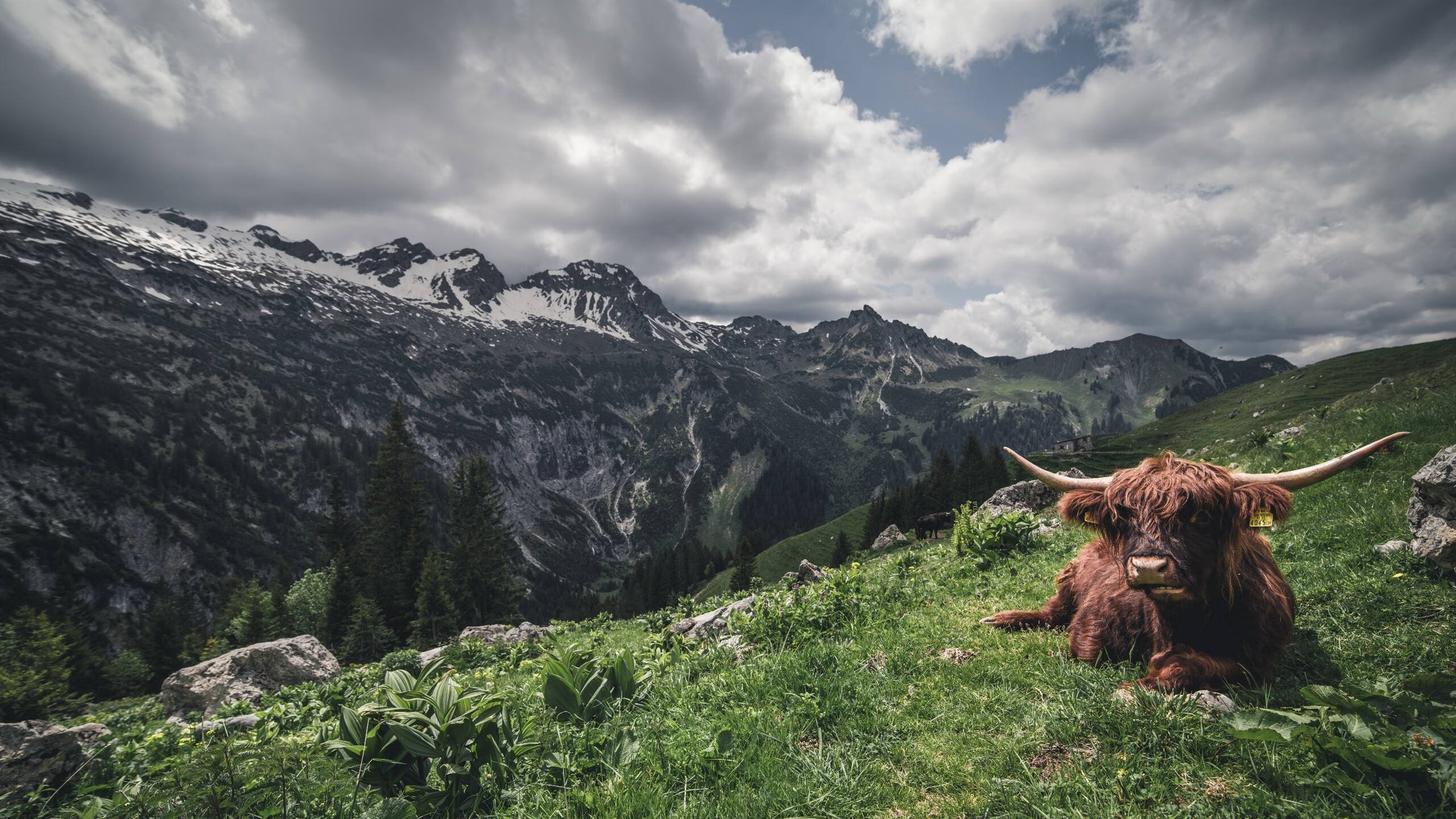 绿茵交响诗，节奏大师的完全掌控与战术压制的艺术