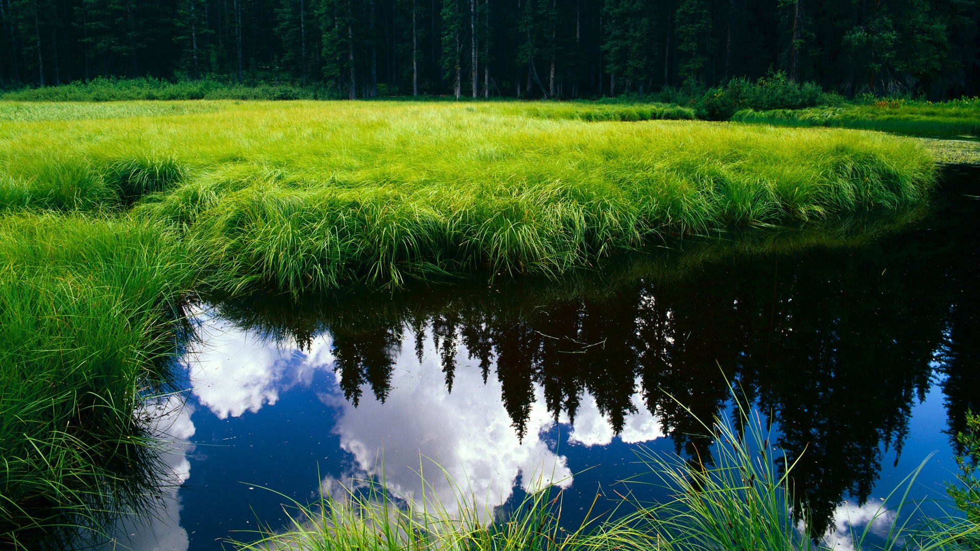 米切尔指挥若定，骑士节奏大师降服广厦