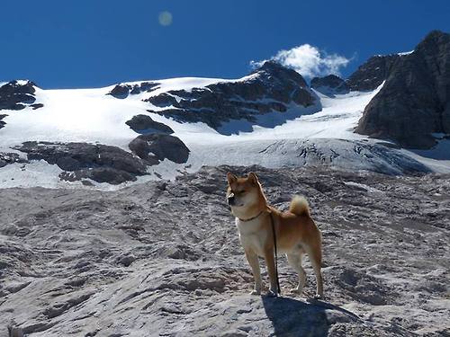 凯尔特人险胜火箭,布克化身关键先生定乾坤