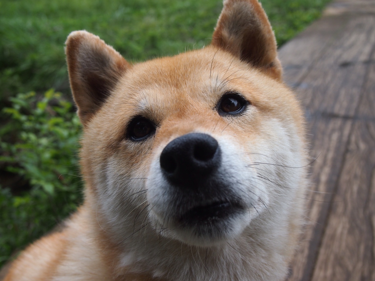 魔法师编织时间—东契奇节奏魔法下的浙江队与国王队