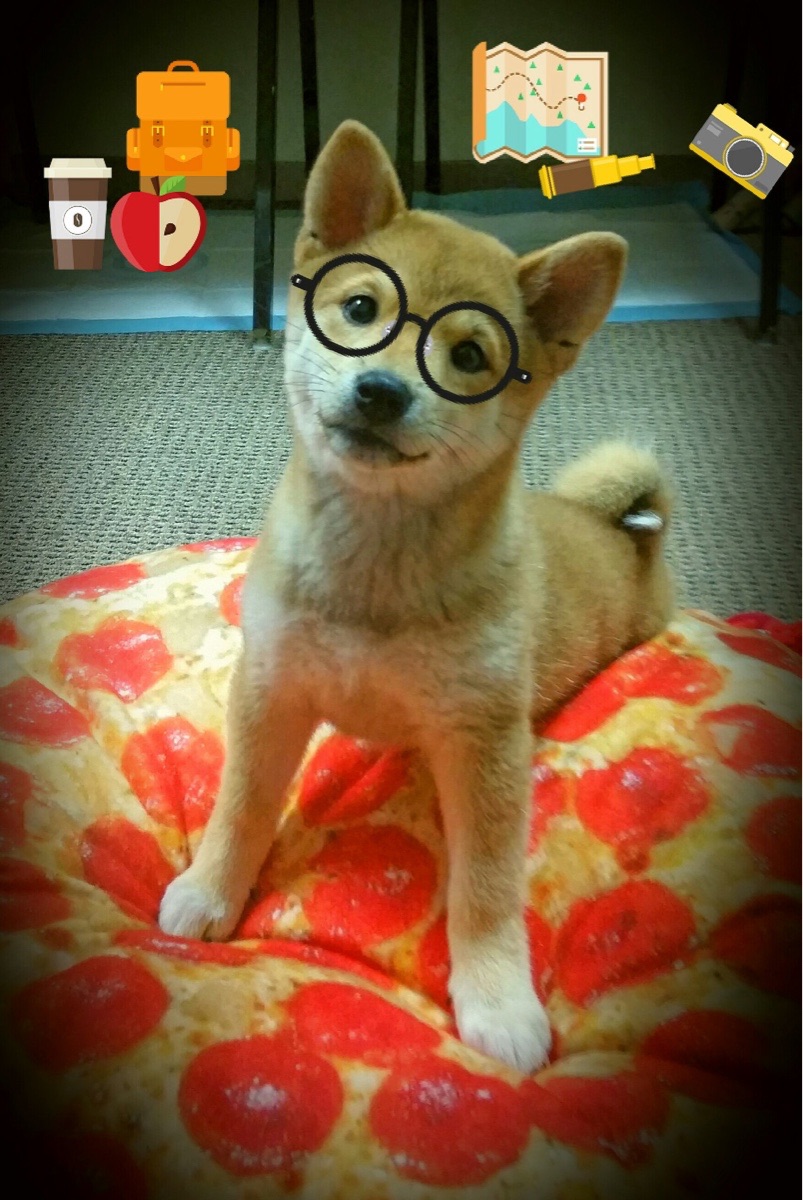 狂舞爵士京城雪夜,拉梅洛三双封神掀翻御林军