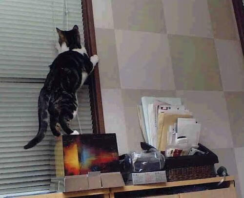 铁血封锁,一人撕裂,布伦森如何成为上海滩的胜负手?