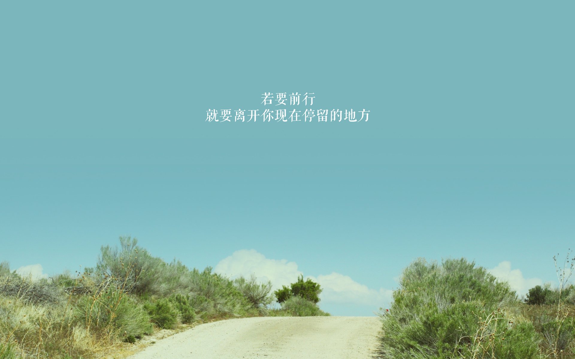 速度与智慧,当穆勒的空间艺术照亮南美足球的启示录