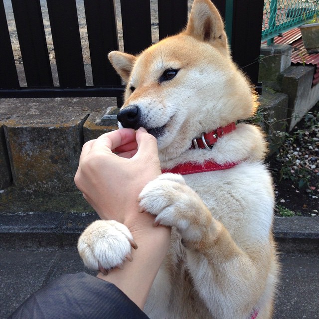 哈登引擎轰鸣,快船压制魔术,如F1冠军接管赛道