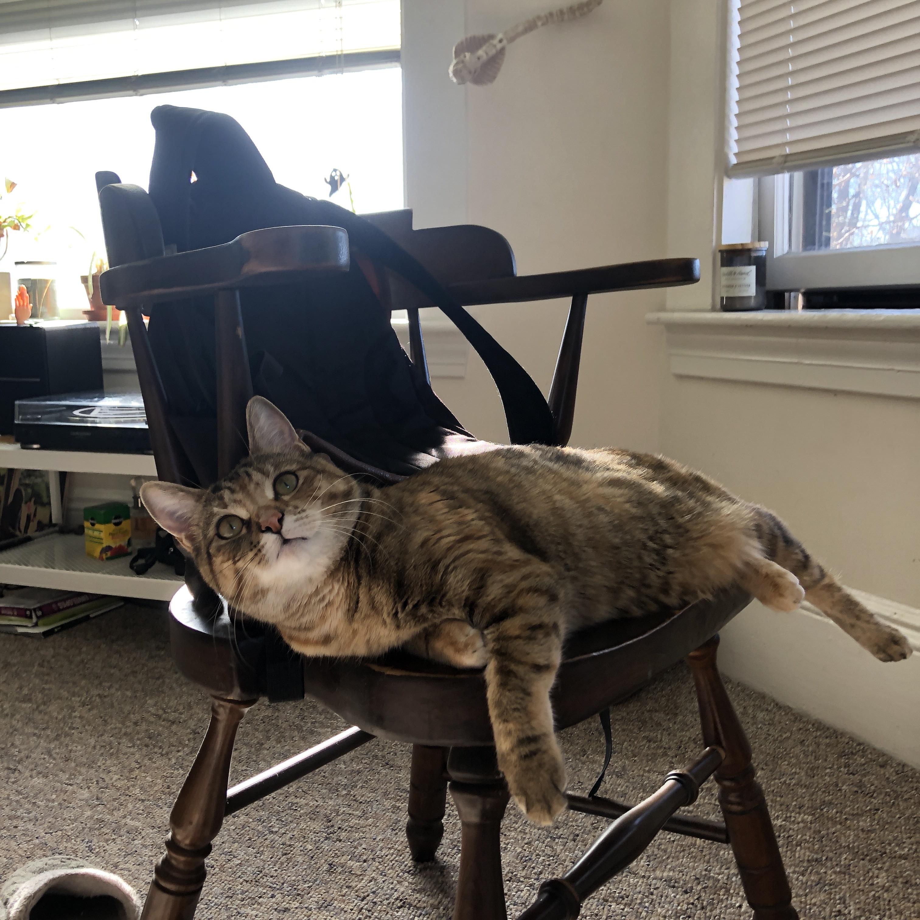 班凯罗主宰赛场！独行侠对阵篮网一战早早失去悬念