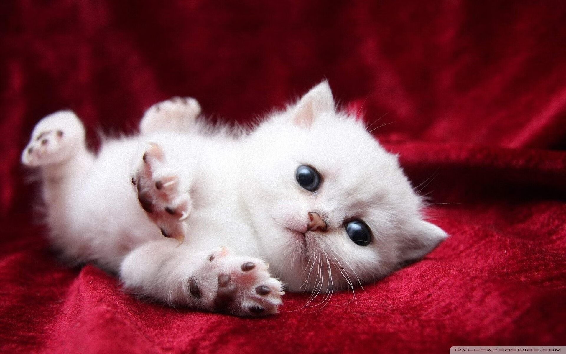 攻守易形，山西队强行终结步行者，乔治锁死箭头人物