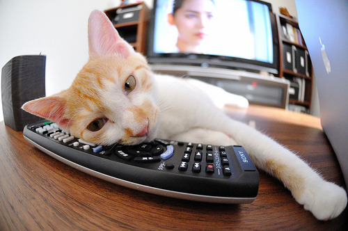 大冷门！山西队速胜湖人，米切尔末节封神成关键先生