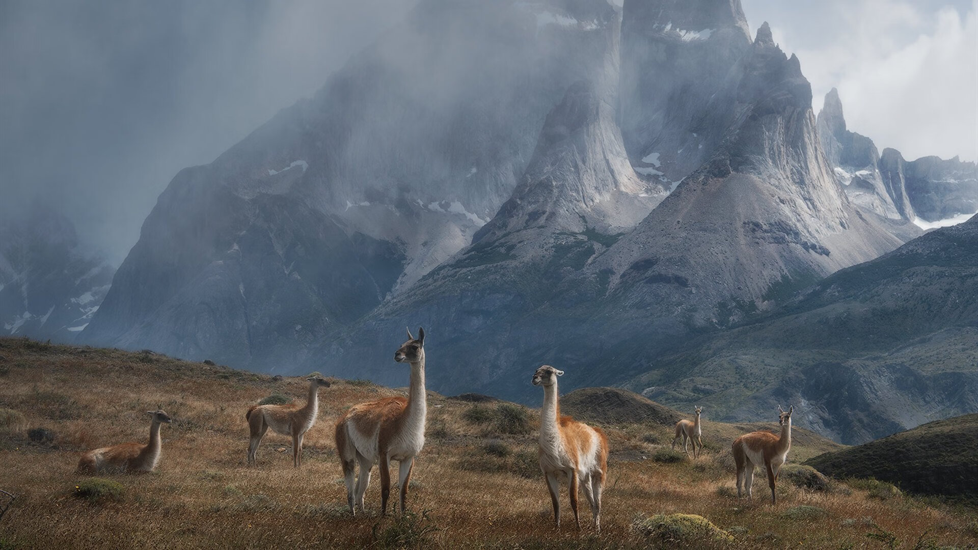 致命两击,欧文导演惊天翻盘!马刺加时险胜雷霆,妖刀归鞘时见真章