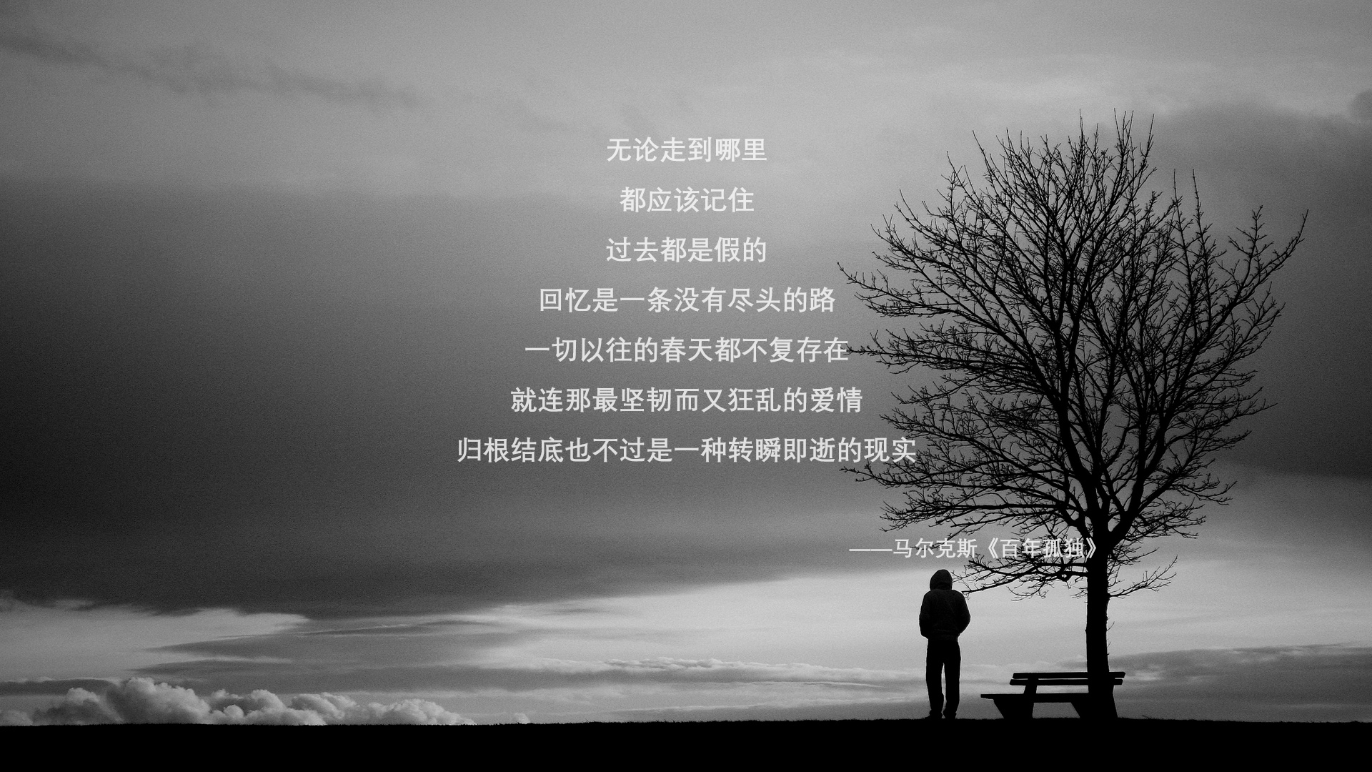 切特赛后评分拉满,公牛轻取湖人展现实力