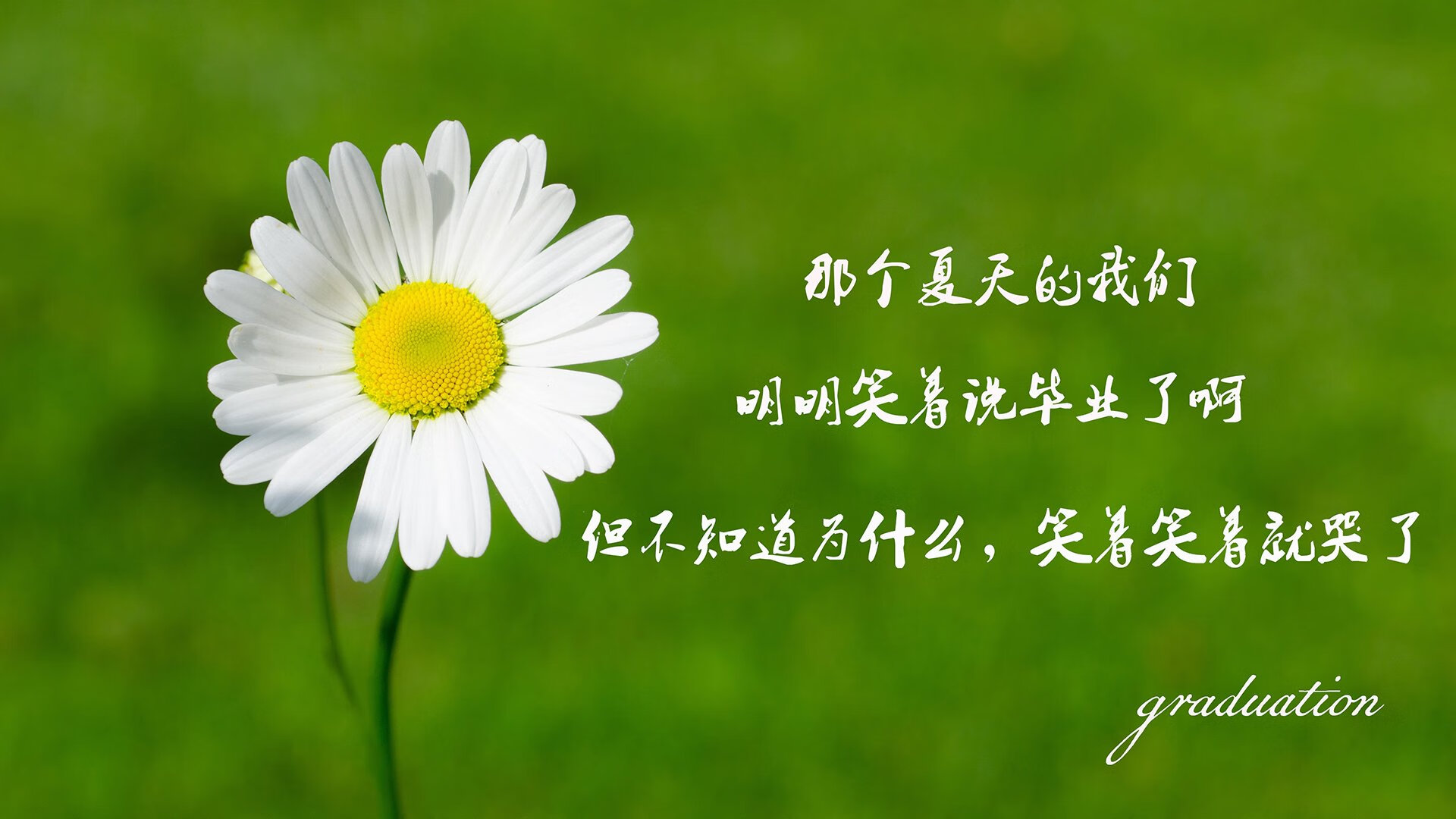 喀尔巴阡山脉的奇迹，2026世界杯半决赛，罗马尼亚压哨绝杀德国，哈兰德封神之夜