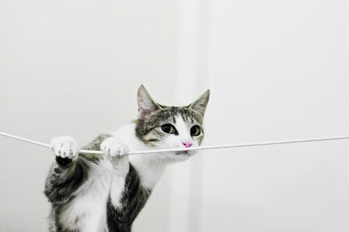 北欧童话梦碎布拉迪斯拉发,斯洛伐克横扫丹麦,苏亚雷斯独造三球闪耀出线战