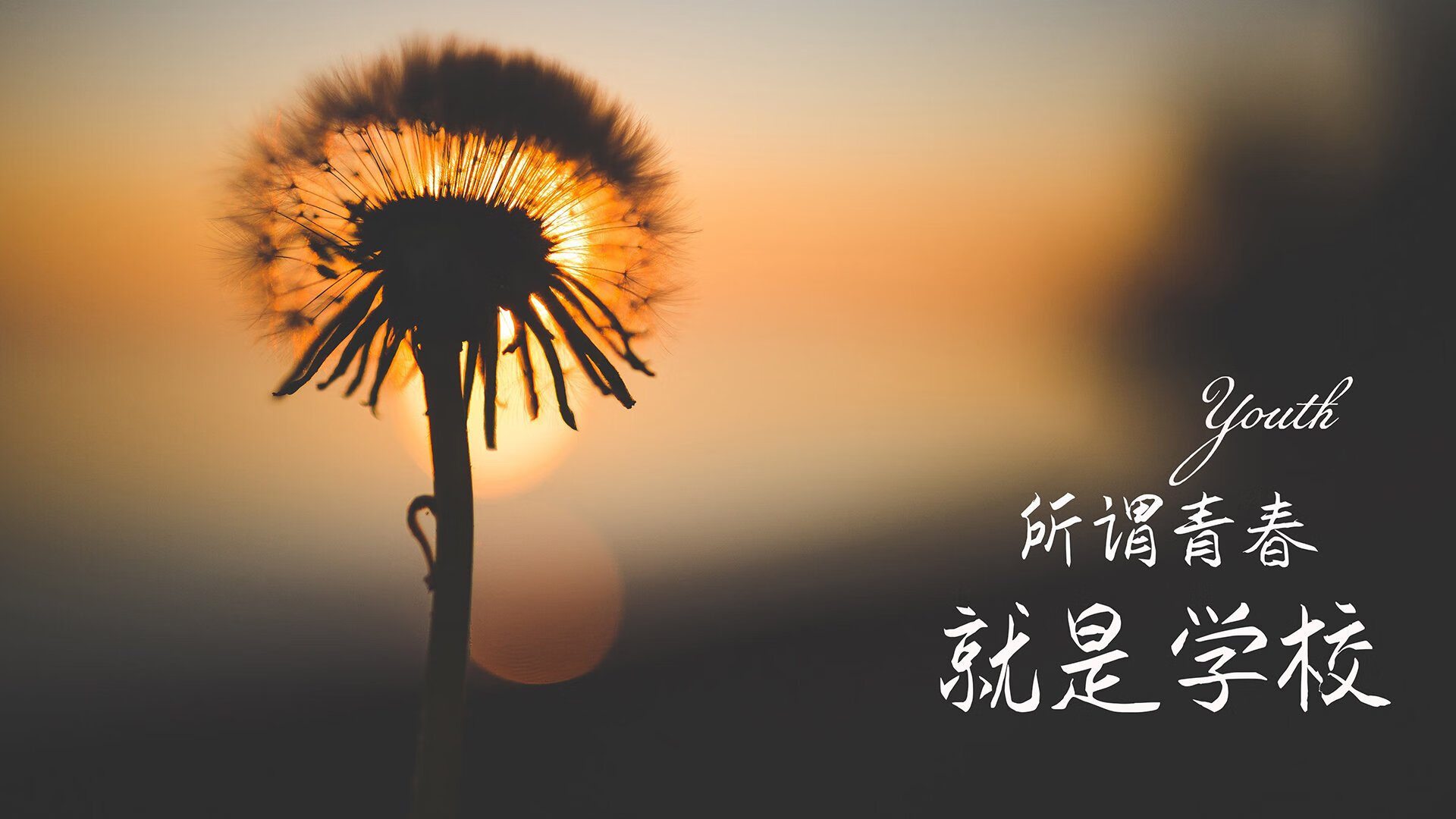 世界杯亚洲区预选赛风云再起，泰国大胜伊朗，哈兰德引领挪威控球制胜